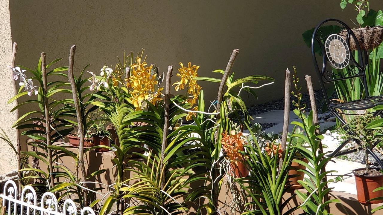 Photo of Outdoor in Jack's Hill