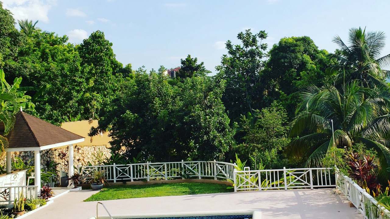 Photo of Outdoor in Jack's Hill