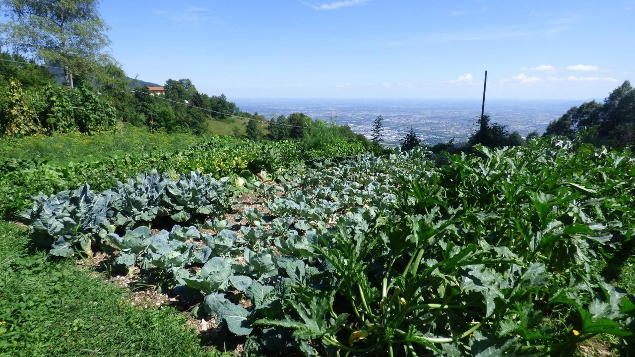 Photo of Outdoor in Schio