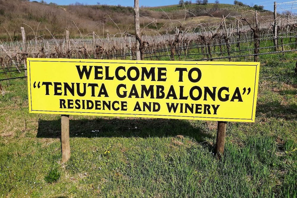 Photo of Others in Valnogaredo