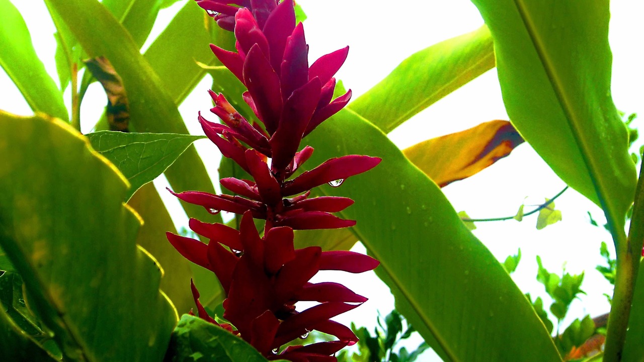 Photo of Outdoor in Angra dos Reis