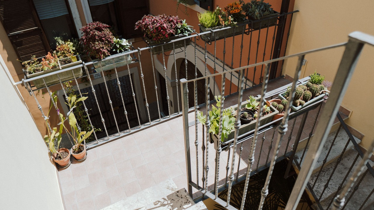 Photo of Outdoor in Citta Antica