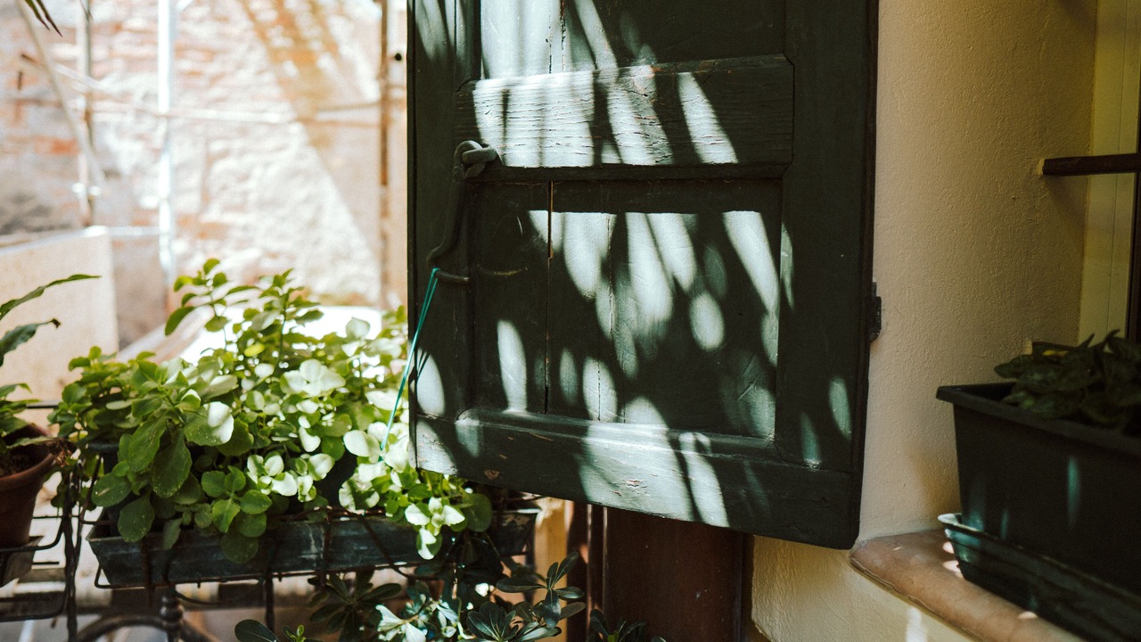 Photo of Outdoor in Citta Antica