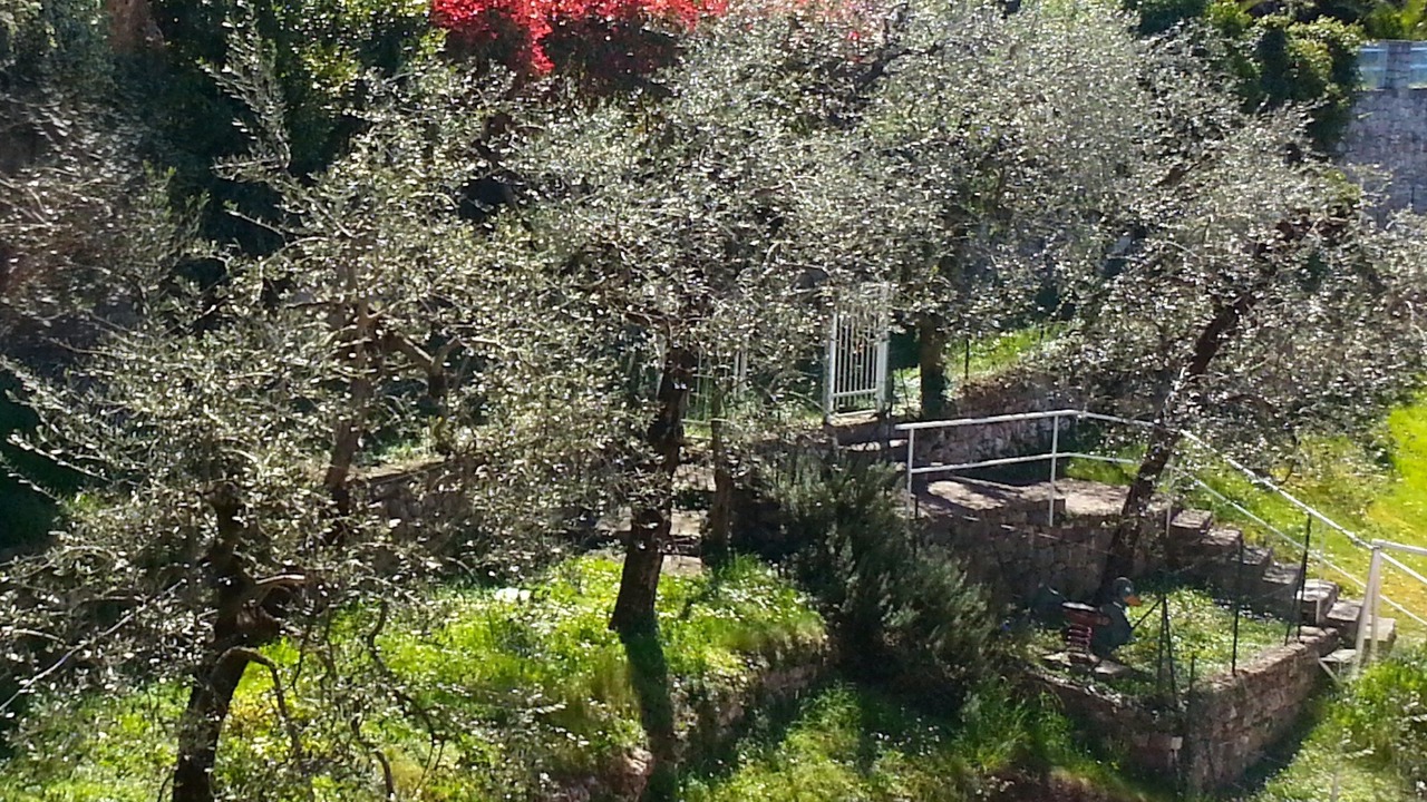 Photo of Outdoor in Porto