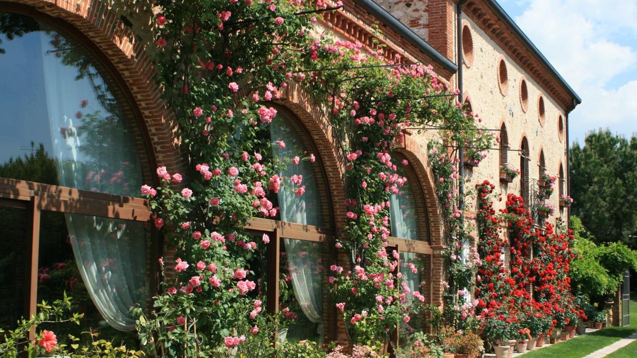 Photo of Outdoor in Carre