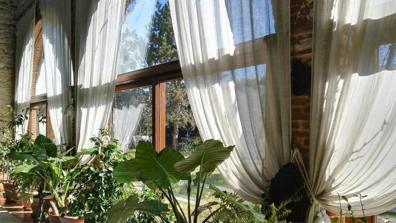 Photo of Outdoor in Carre