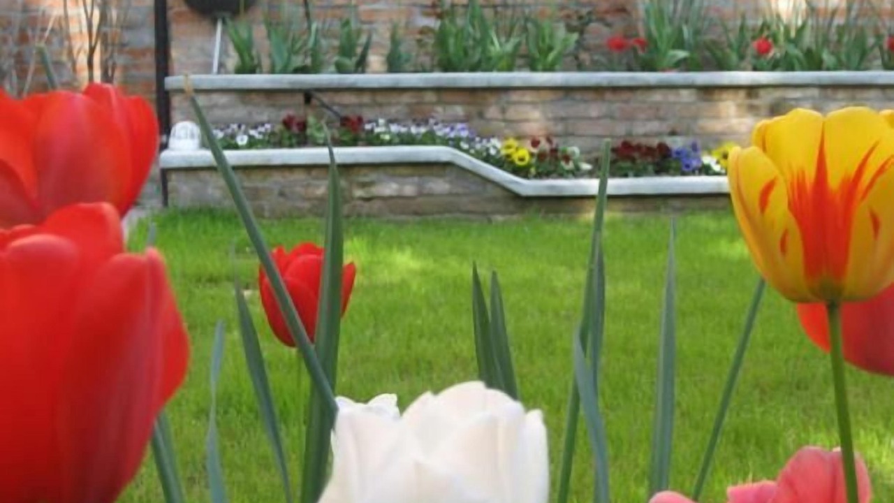 Photo of Outdoor in Santa Maria in Stelle