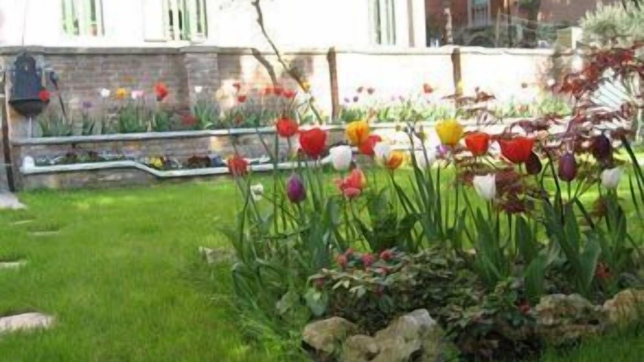 Photo of Outdoor in Santa Maria in Stelle