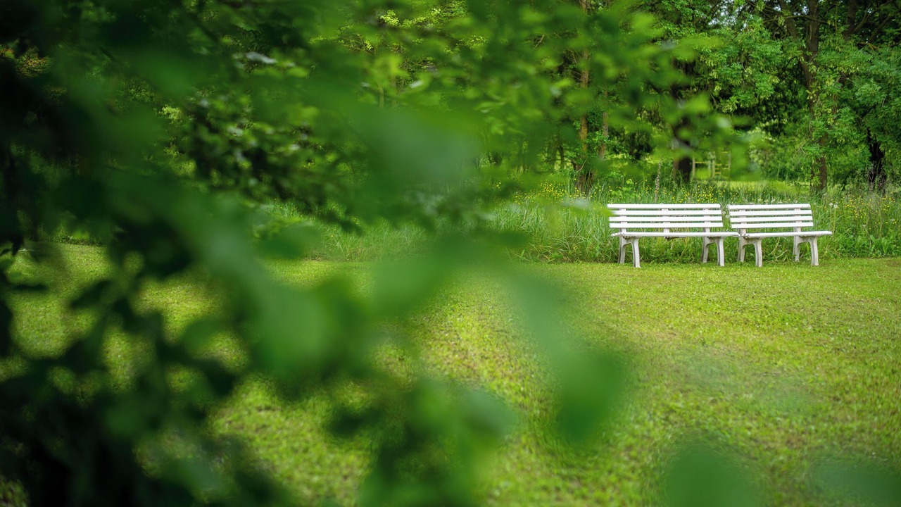 Photo of Outdoor in Montegrotto Terme