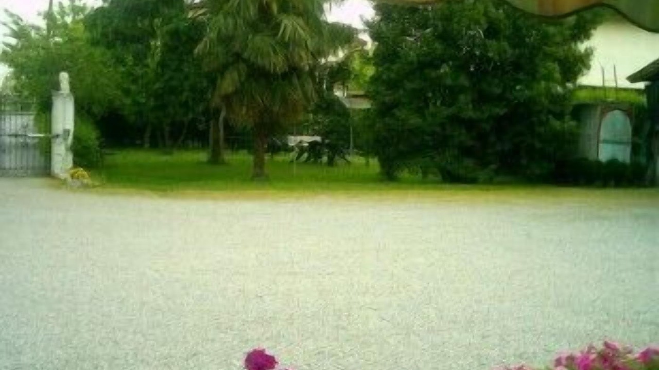 Photo of Outdoor in Trivignano