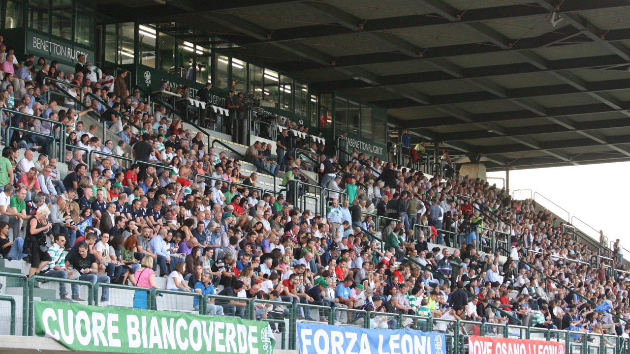 Photo of Others in Treviso