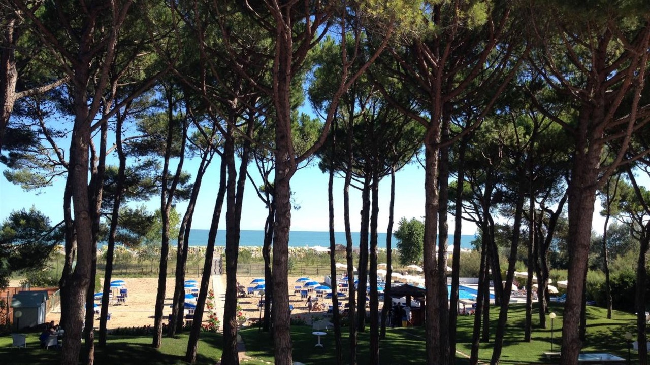 Photo of Outdoor in Jesolo Pineta
