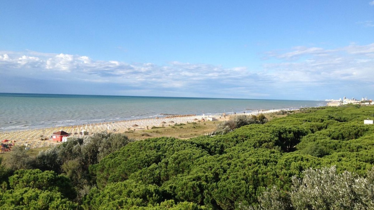 Photo of Outdoor in Jesolo Pineta