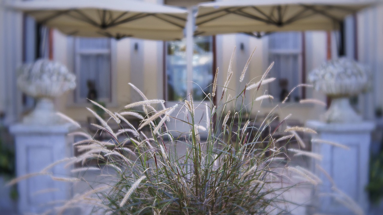 Photo of Patio Balcony in Soligo