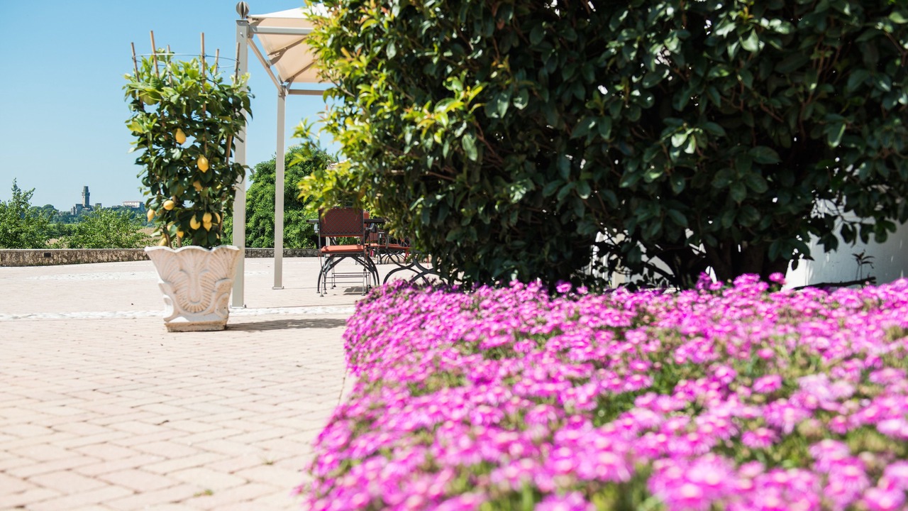Photo of Outdoor in Susegana