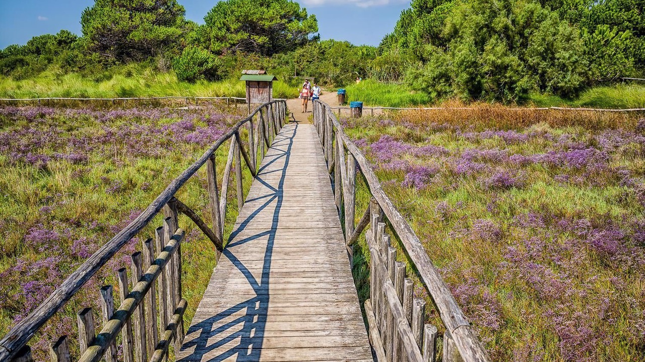 Photo of Outdoor in Rosolina Mare