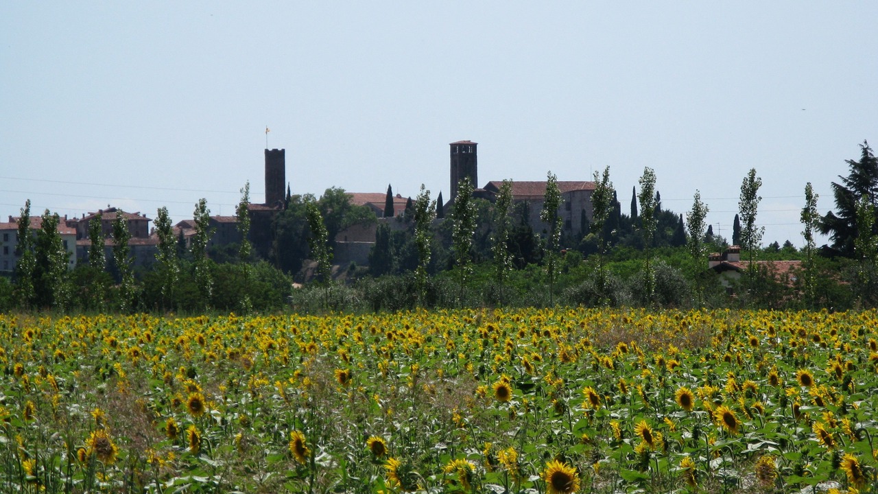 Photo of Others in Borso del Grappa