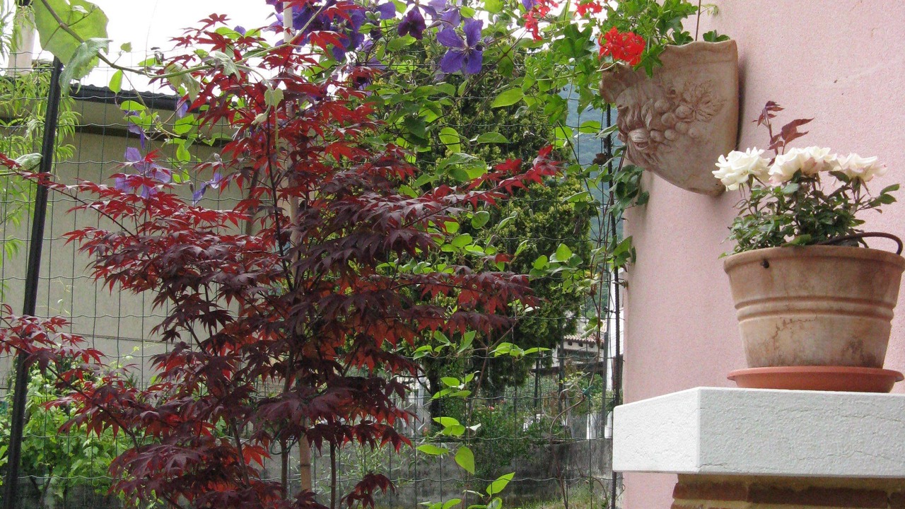 Photo of Outdoor in Borso del Grappa