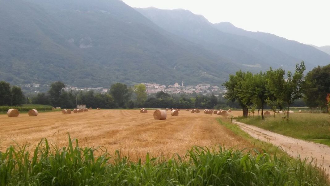 Photo of Others in Borso del Grappa