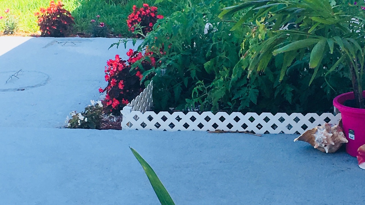 Photo of Outdoor in Belair Estates
