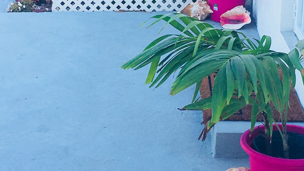 Photo of Outdoor in Belair Estates