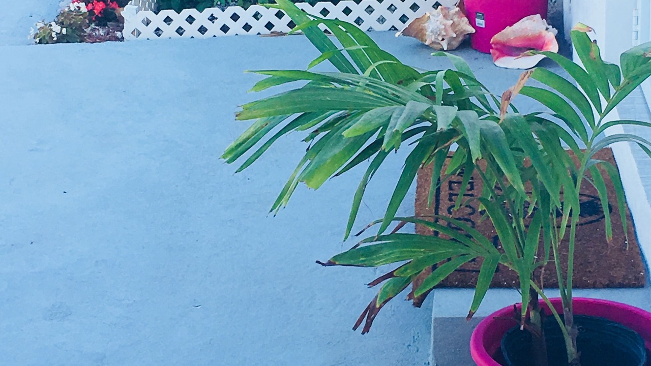 Photo of Outdoor in Belair Estates