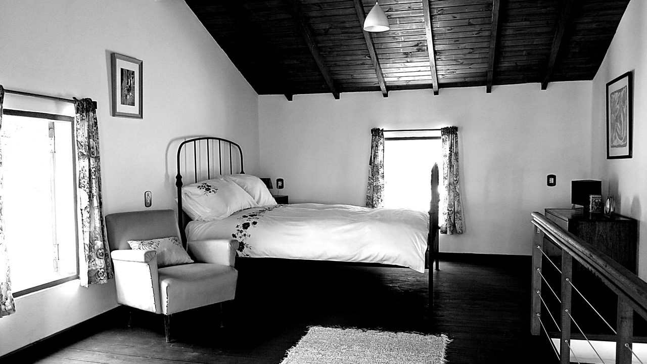 Photo of Others in Paraty