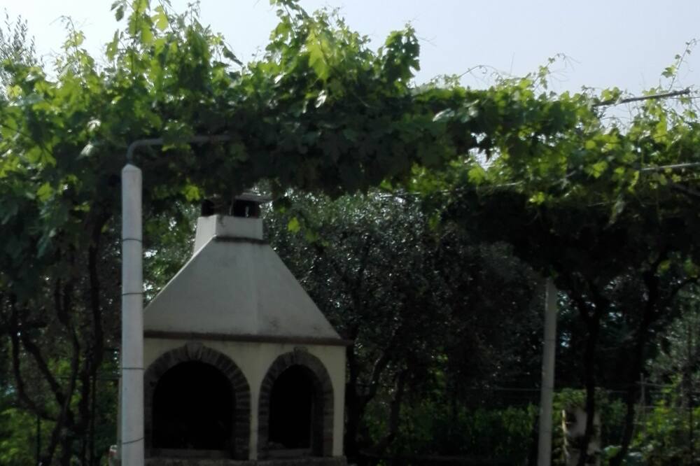 Photo of Outdoor in Negrar