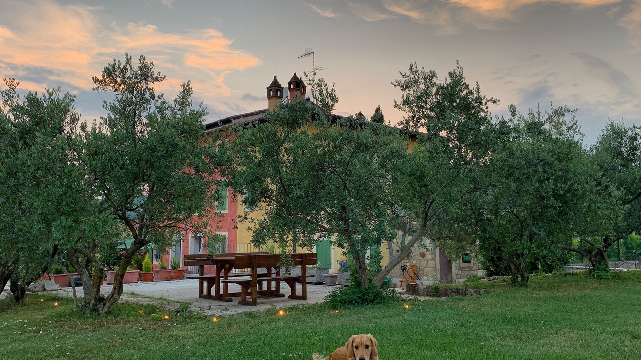 Photo of Outdoor in Valgatara