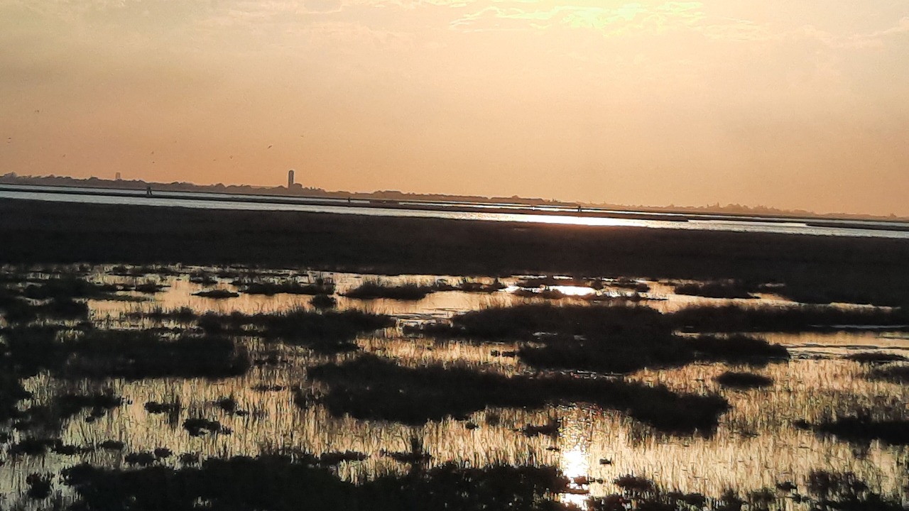 Photo of Outdoor in Jesolo Pineta