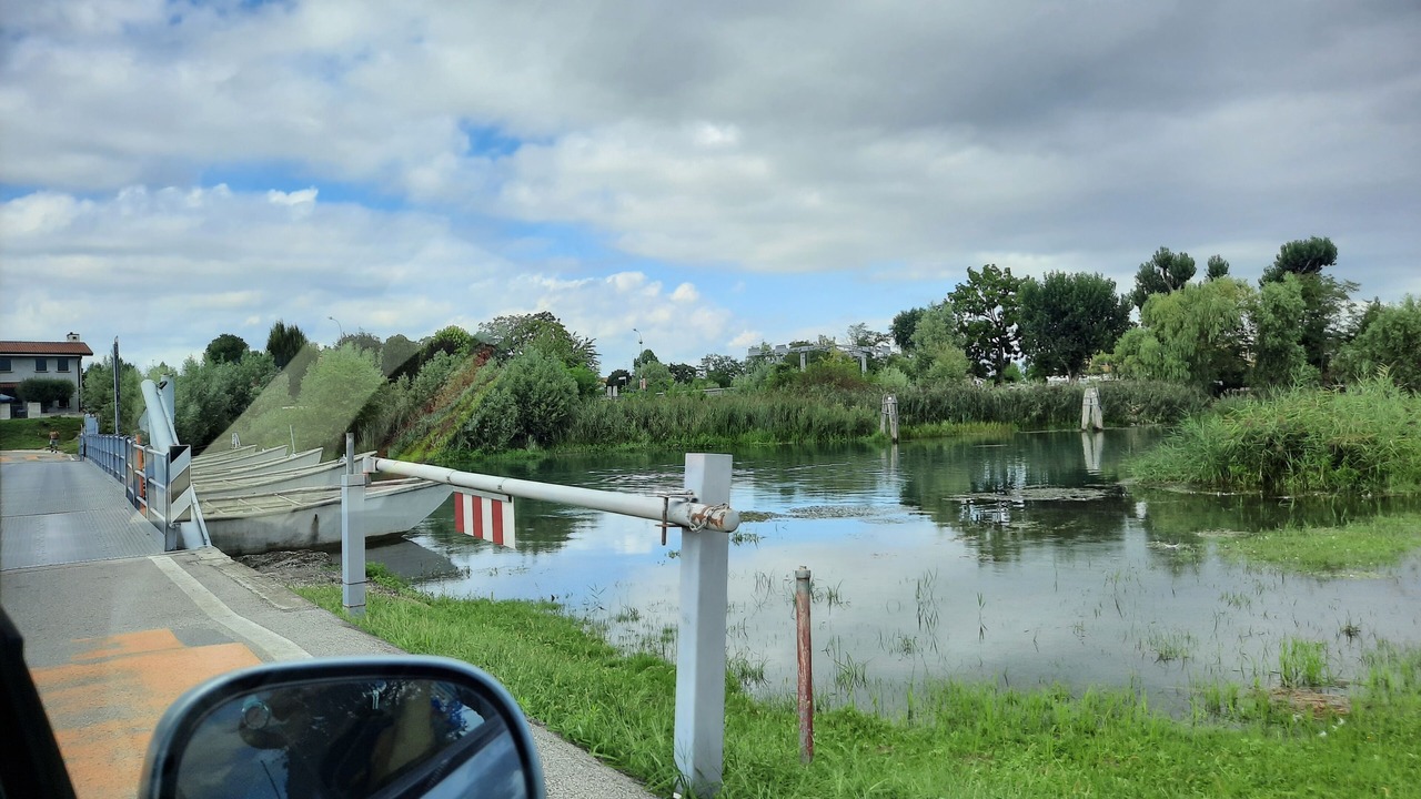 Photo of Outdoor in Jesolo Pineta