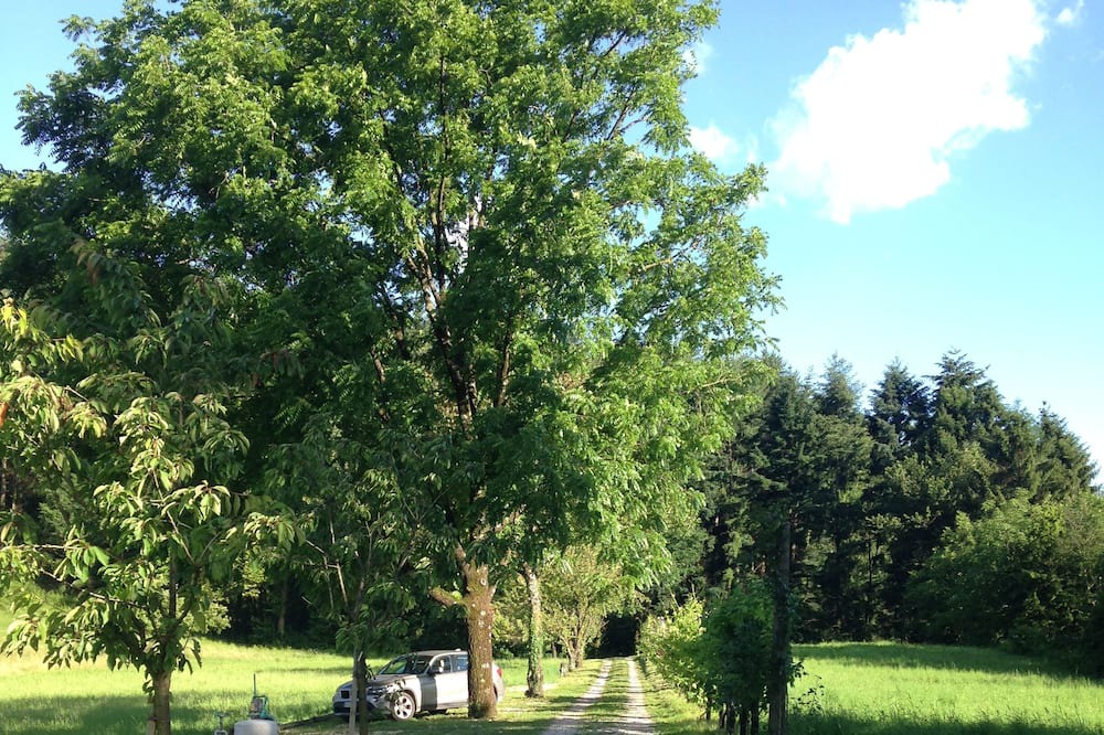 Photo of Outdoor in Follina