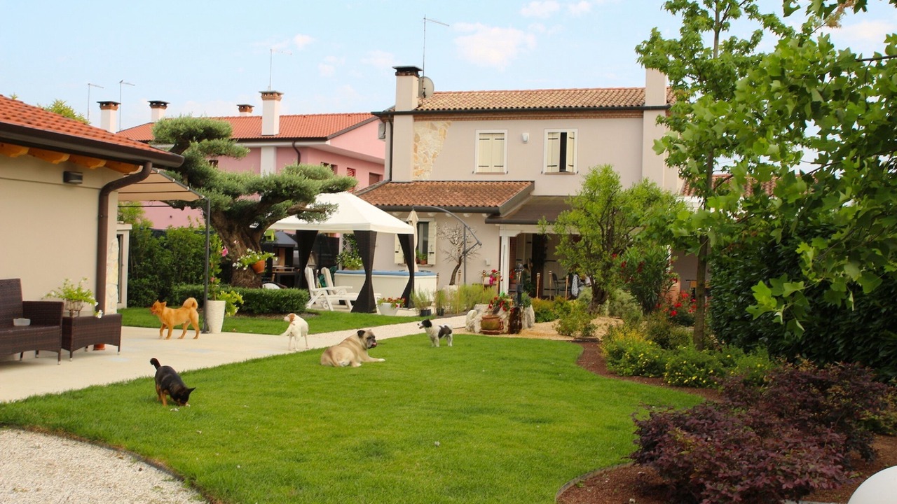 Photo of Outdoor in Noale