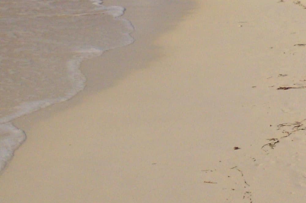 Photo of Others in Williams Town