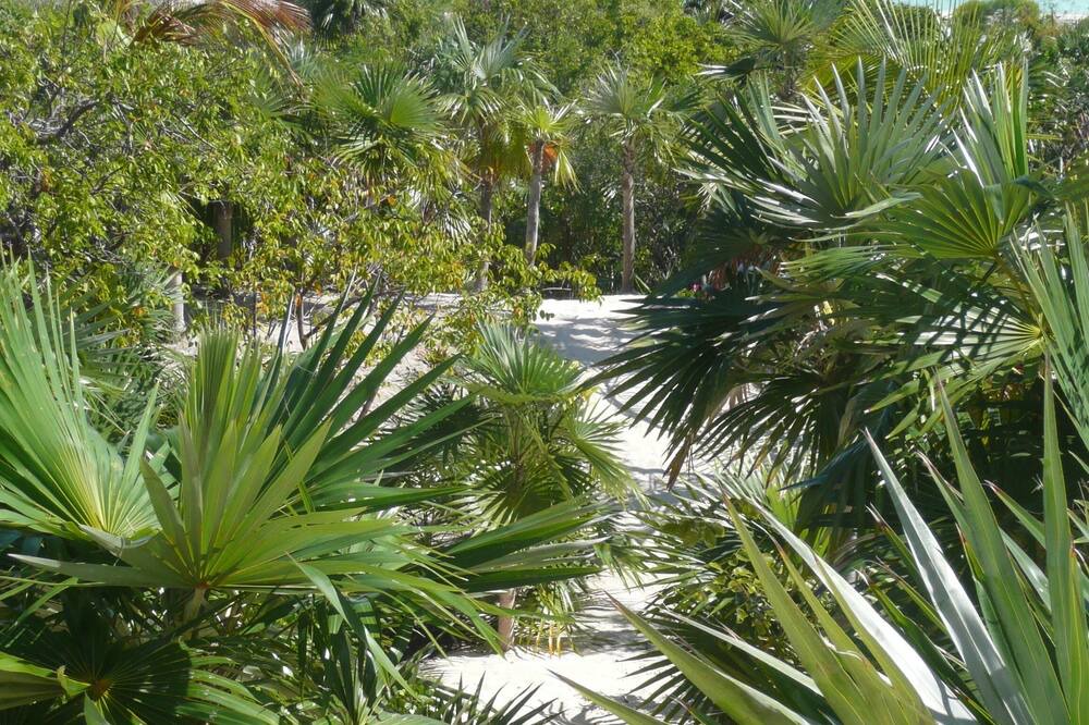Photo of Outdoor in Winding Bay