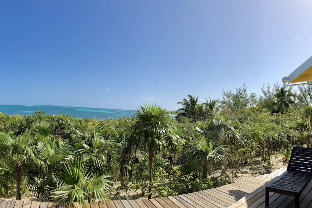 Photo of Outdoor in Winding Bay
