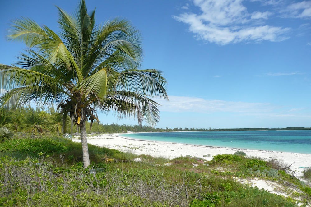 Photo of Others in Winding Bay