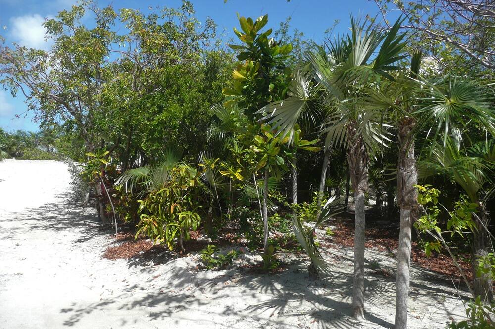 Photo of Outdoor in Winding Bay