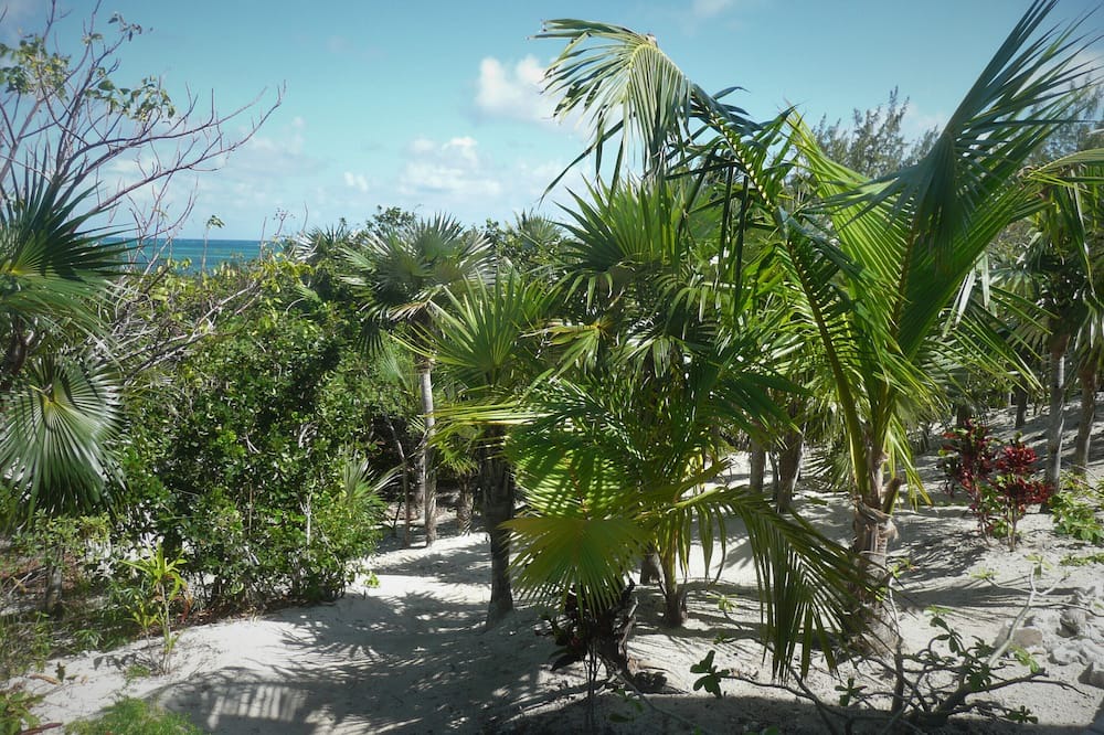 Photo of Outdoor in Winding Bay