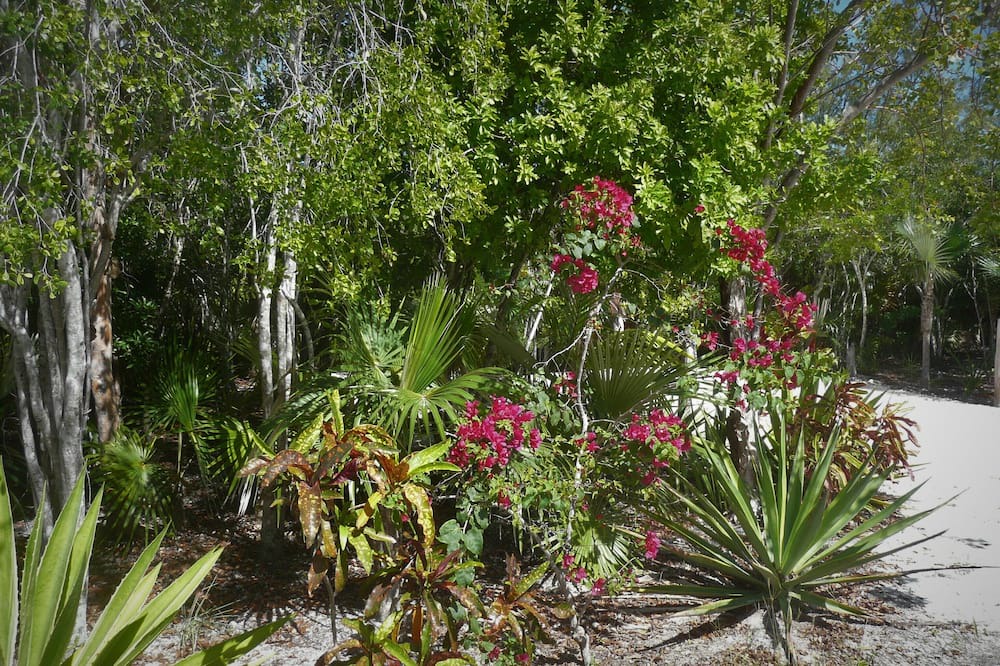 Photo of Outdoor in Winding Bay