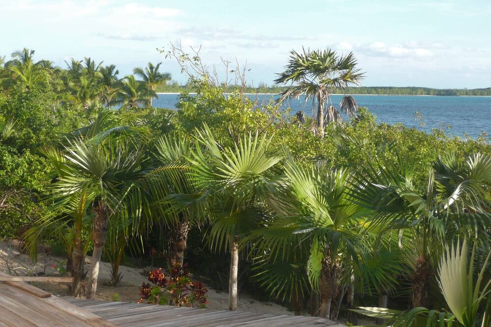 Photo of Others in Winding Bay