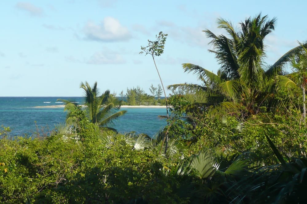 Photo of Others in Winding Bay