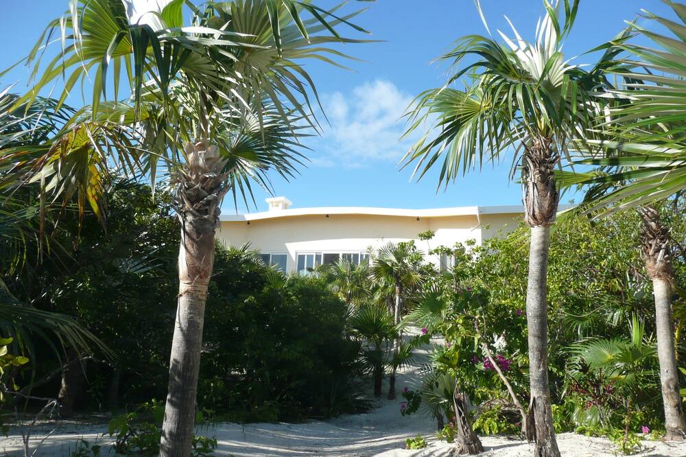 Photo of Others in Winding Bay