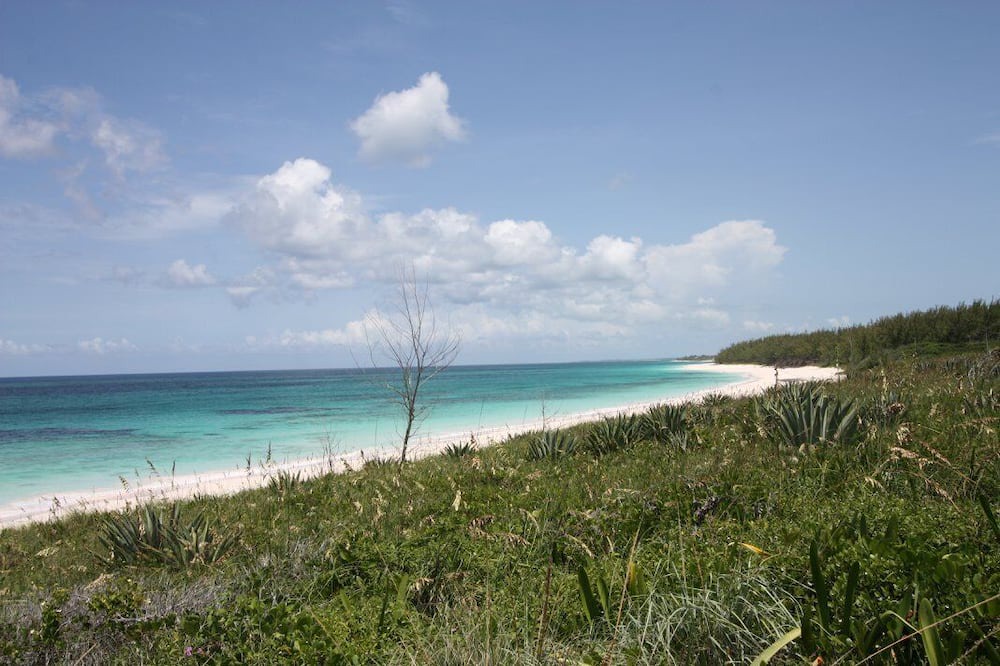 Photo of Outdoor in Rainbow Bay
