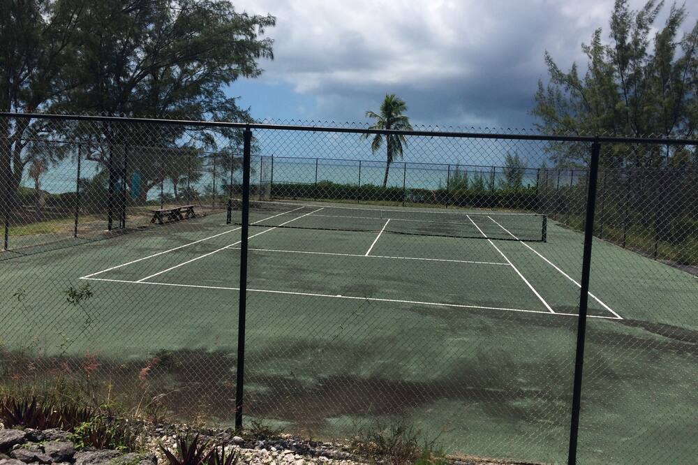 Photo of Others in Rainbow Bay
