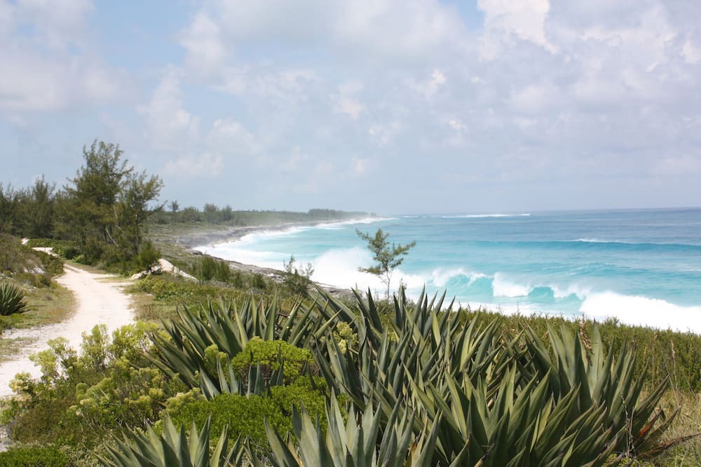 Photo of Outdoor in Rainbow Bay