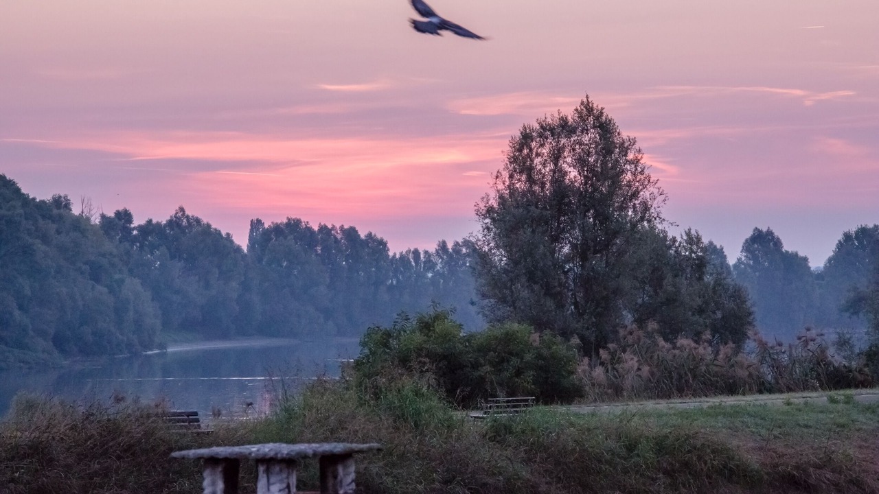 Photo of Outdoor in Villa Bartolomea