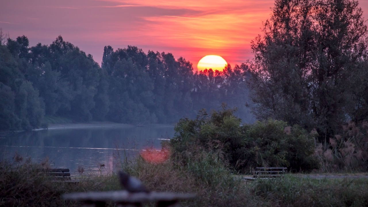 Photo of Outdoor in Villa Bartolomea