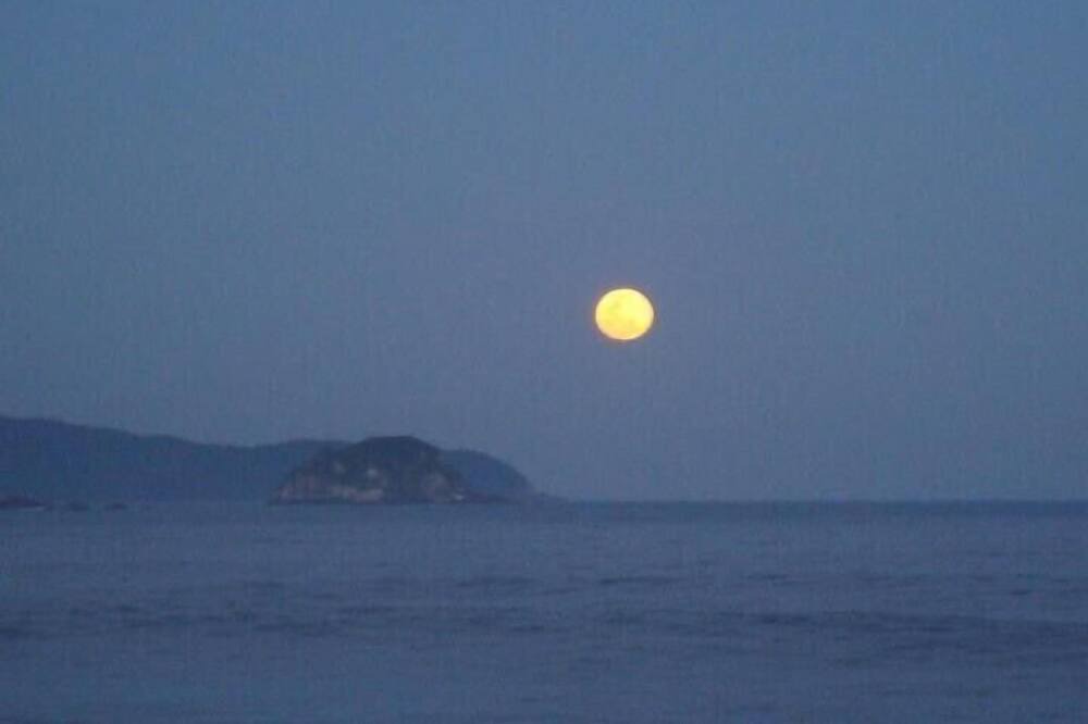 Photo of Others in Trindade