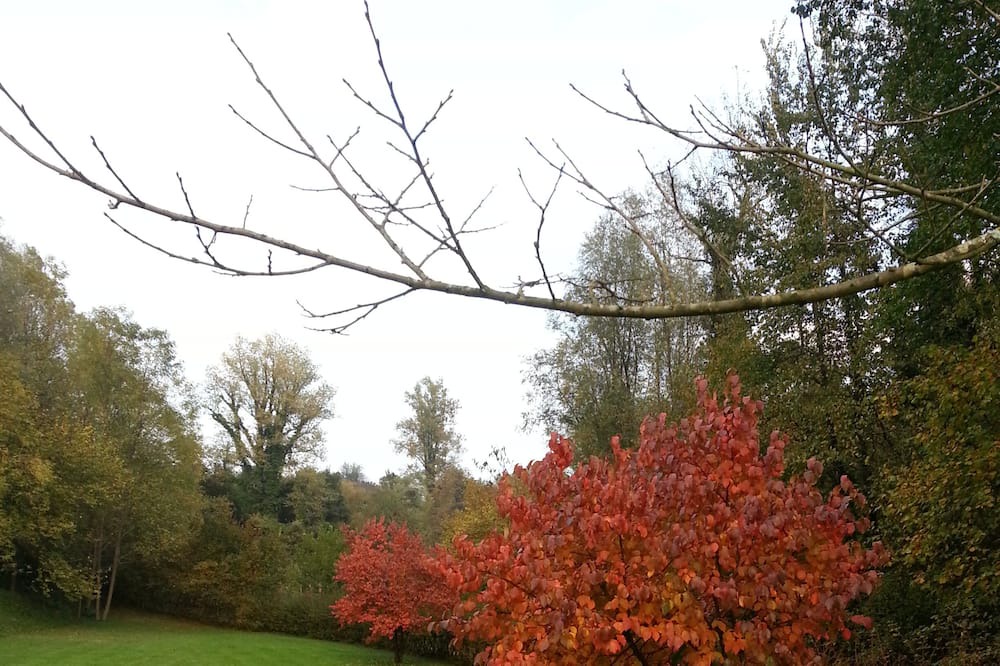 Photo of Outdoor in Follina